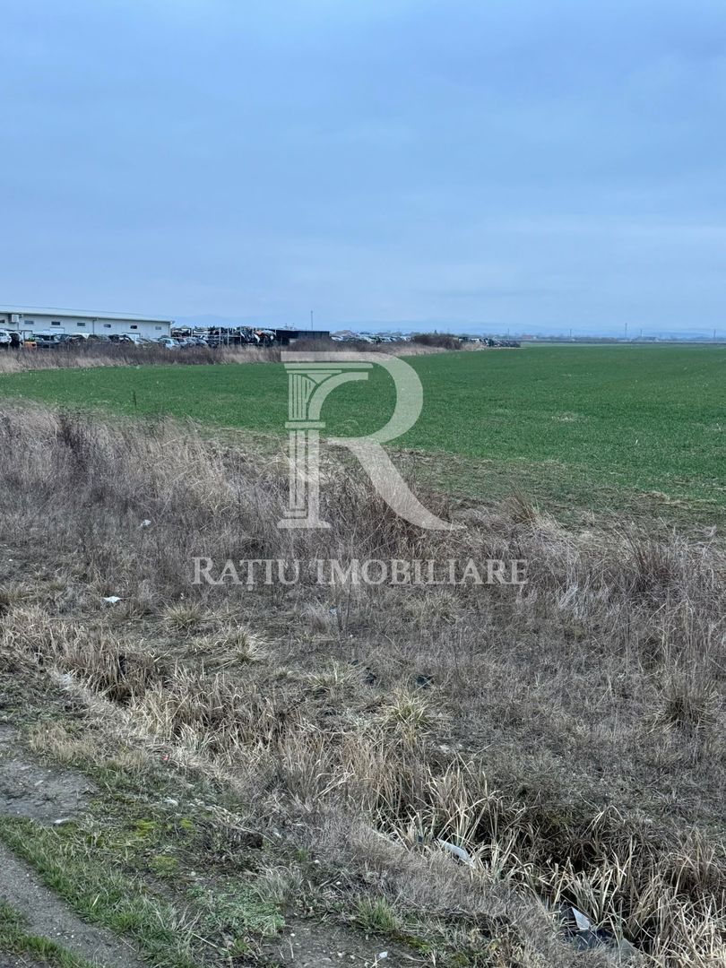 Teren de inchiriat | 20,088 ha | Sacadat | Bihor - Poză 3