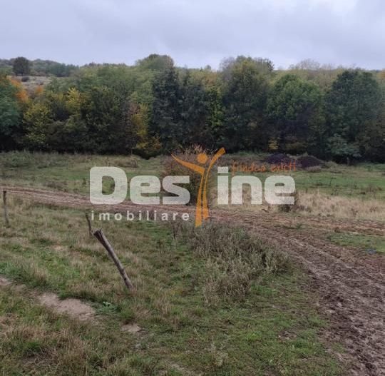 VIla Teisani si 11250 mp teren - Poză 7