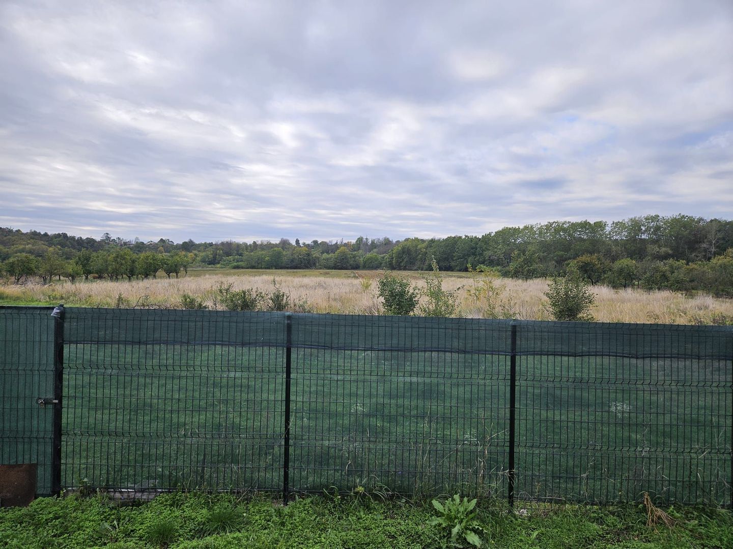 Casă de Vânzare în Albota, Sat Mareș – Liniște și Natură la Doar 10 Km - Poză 14