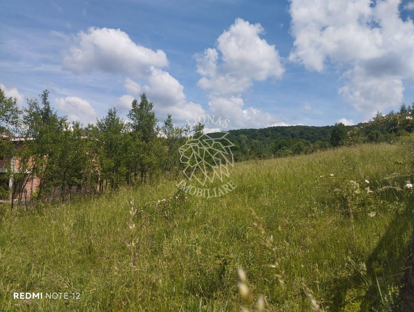 Teren 40.000 mp-ideal investitie-Slatinita - Poză 1