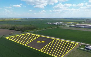 COM 0% Teren industrial pretabil hale, servicii | DN69 Sanandrei - Poză 1
