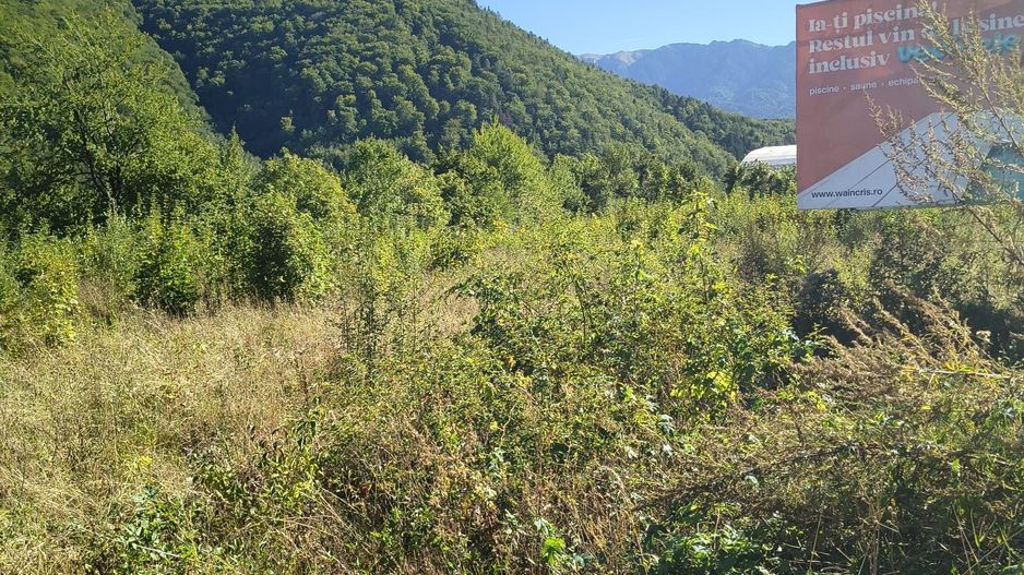 Vand Teren intravilan - Poză 11