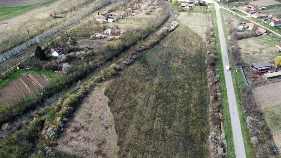Teren intravilan Balint 22.500 mp - Poză 12