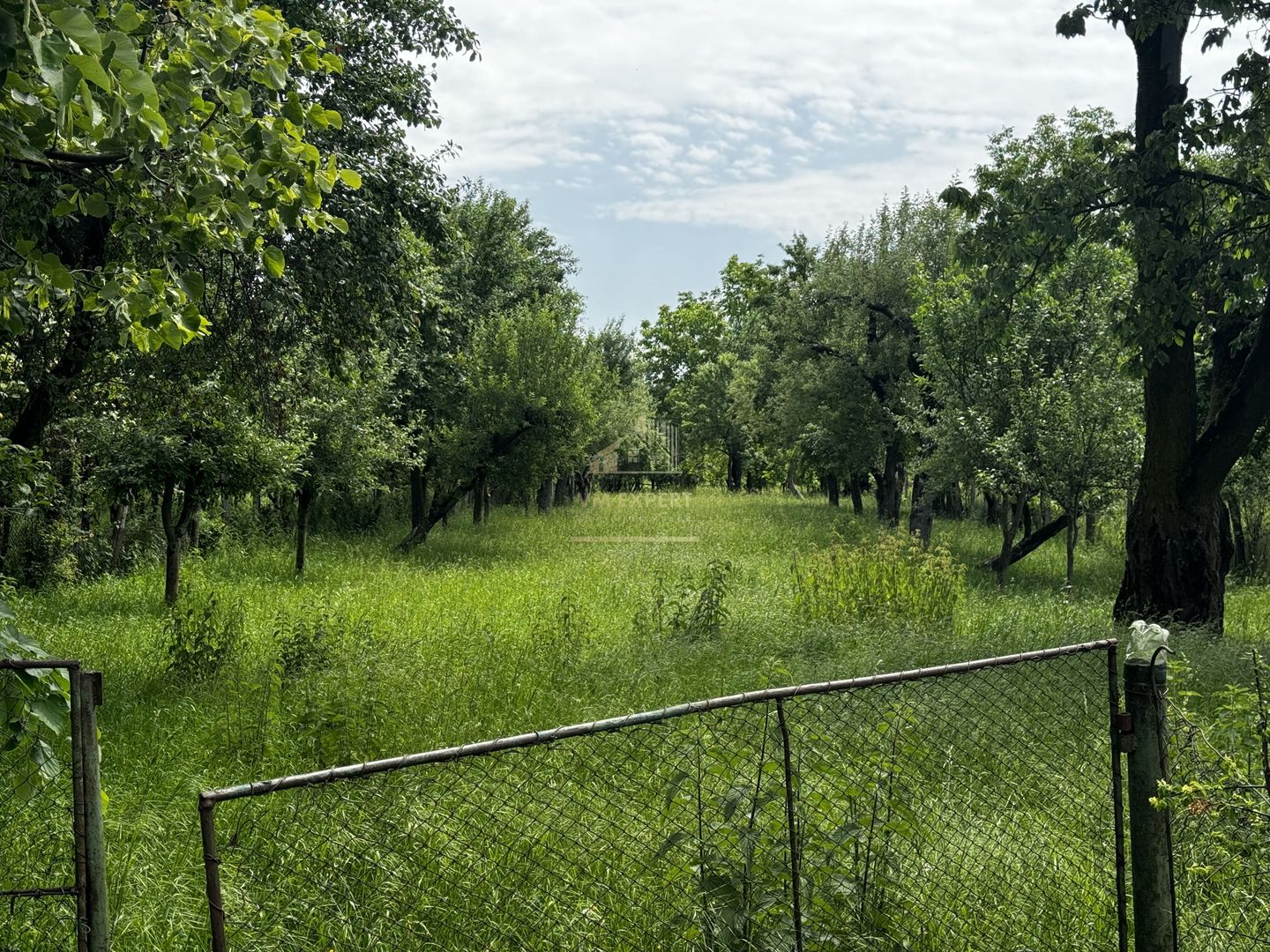 CASA 3 CAMERE, PLUS ANEXE, TEREN 2141 MP, BEREVOIESTI, ARGES - Poză 34