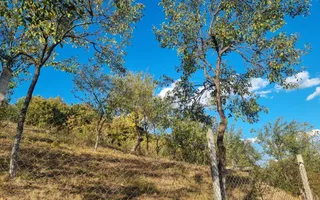 Casă renovata cu teren generos | Anexe | Gurasada | Hunedoara - Poză 45
