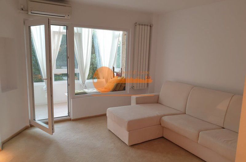 Studio Modern cu Vedere la lacul Herastrau - Poză 14