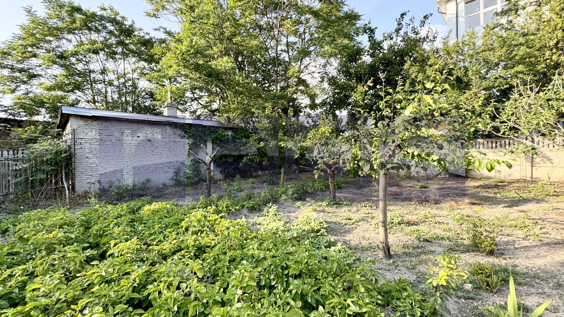 VANZARE TEREN 452 MP | CARPATI | SPITAL - Poză 6