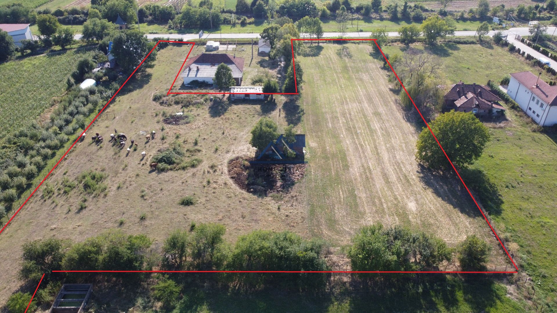 Teren intravilan de 10 614 mp cu deschidere de 59 m – Baiculesti (Comision 0%) - Poză 4