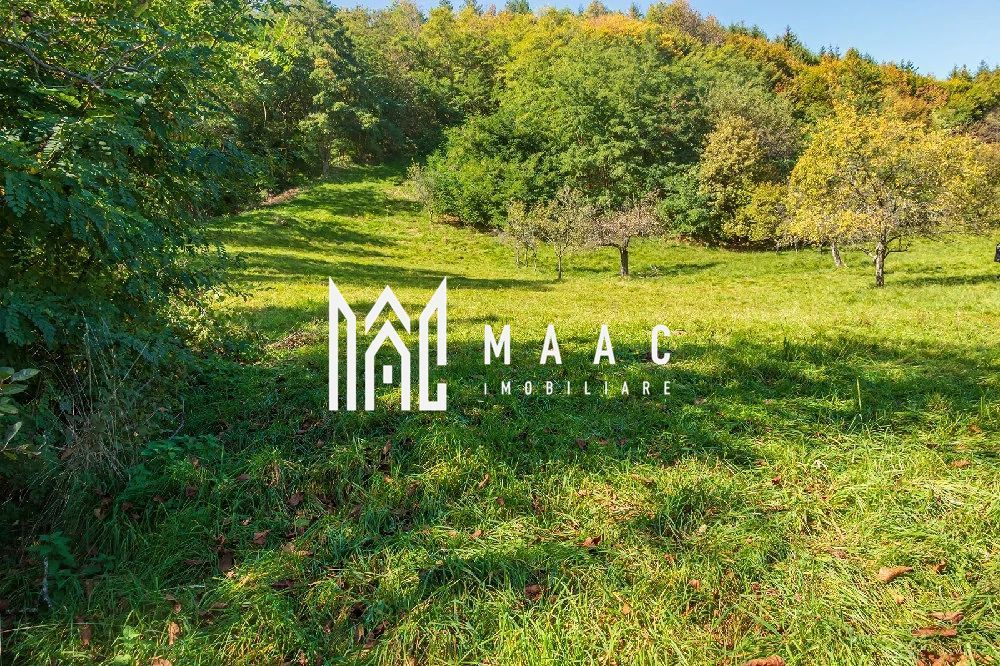 Teren | Intravilan | 2439 MPU | Fântânele - Poză 4