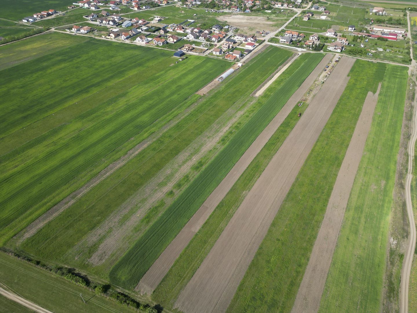 Loc de casa de 504 mp în Livada - Poză 13