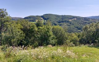 Teren extravilan investiție Rachitele Cluj - 31.555 mp - Poză 7