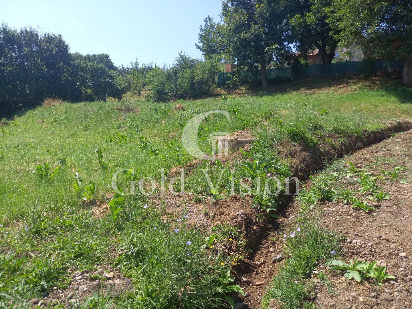 Teren Intravilan 1175 mp in Unirii str.Voinicenilor - Poză 2