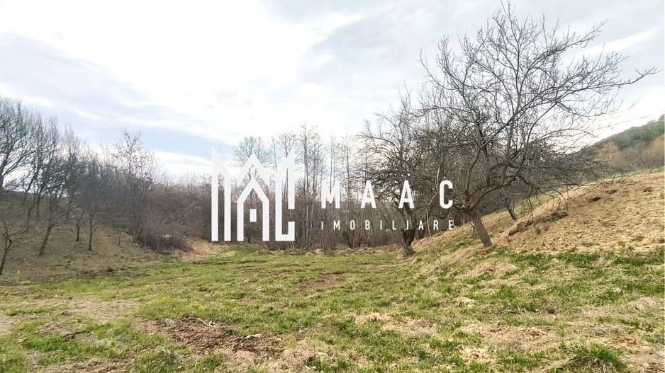 Teren extravilan agricol 1.184 mp | Sibiel | utilități la 100 m - Poză 4