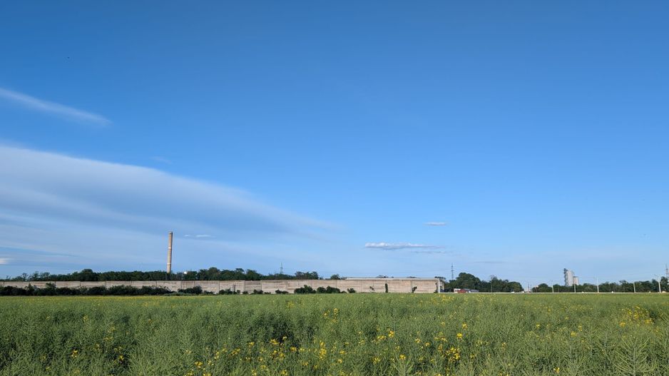 Teren de vanzare Domnești - Str. Narciselor - 20312mp - Poză 3