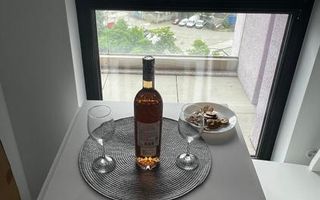 GARSONIERA LUX PRIMA INCHIRIERE- COMPLEX NOVUM - Poză 5