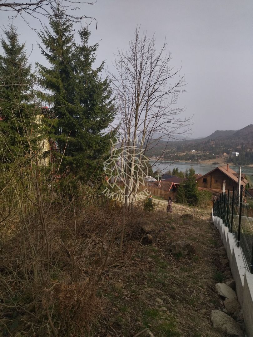 Teren intravilan 1615 mp-ideal cabane turism-Colibita - Poză 7