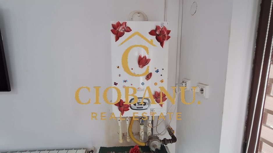 Casa de vanzare zona Campia Islaz - Poză 4