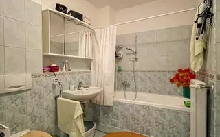 BRASADAS vinde casă tip D P M cu teren 17 ari in Bercu Roșu. - Poză 15
