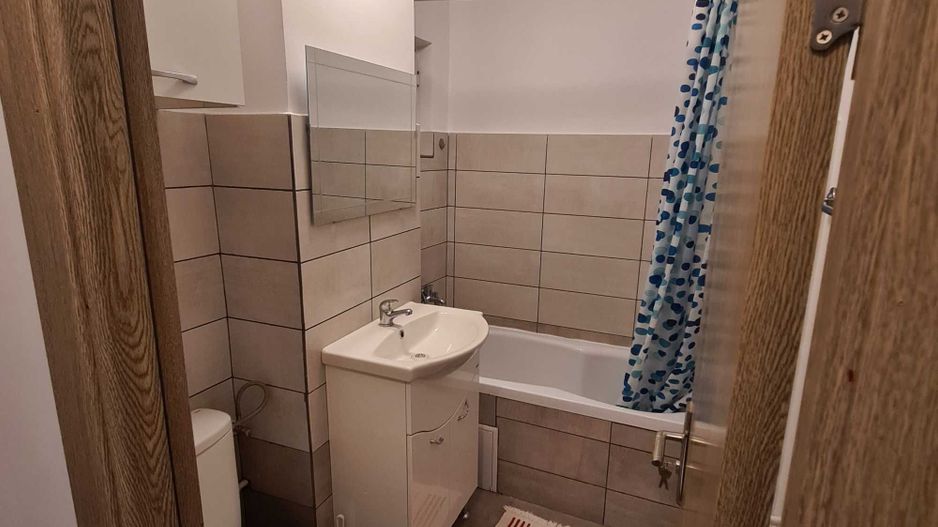 Apartament dr. Iacob Felix //  Piața Victoriei - Poză 6