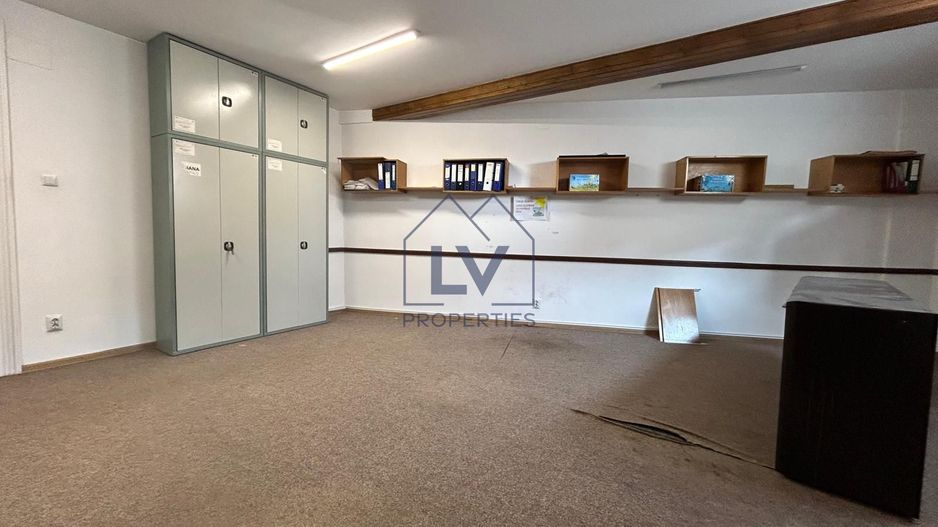 INCHIRIERE VILA 14 CAMERE | ZONA CISMIGIU - Poză 11