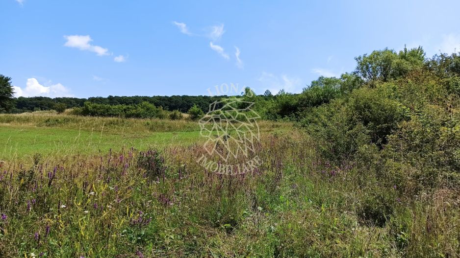 Parcele teren 4038 mp - Parcelabil - Zona Valea Stanelor - Poză 4