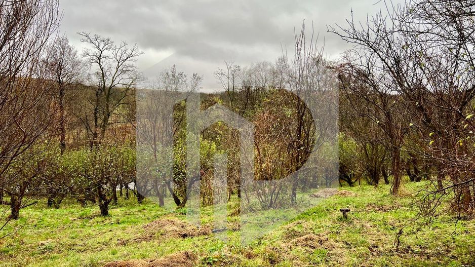 Casa de vanzare  in Talmacel-Teren 4000 mp cu livada+garaj - Poză 16