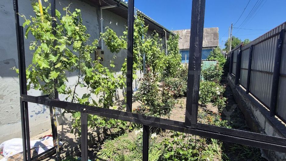 Vânzare, 2 case pe un teren, Hăsnășenii Noi, raionul Drochia - Poză 10