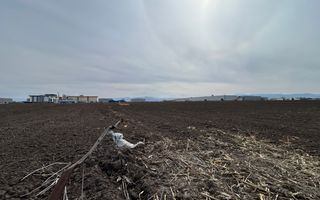 Teren intravilan de vânzare – 10.000 mp – Zona Industrială Vest | Comision 0% - Poză 3