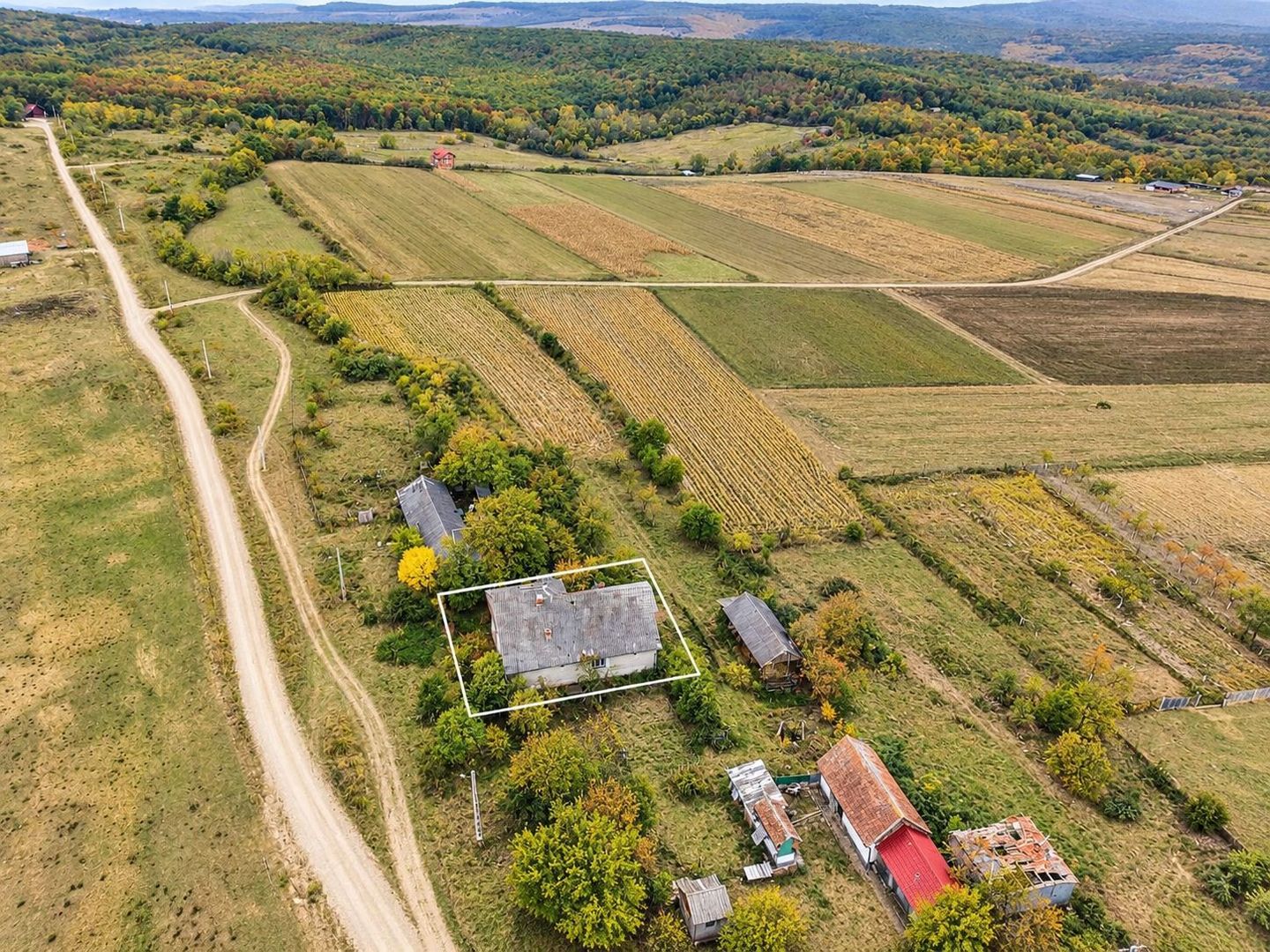 Casa P+M, Felcheriu, la 18 km de Oradea - Poză 4