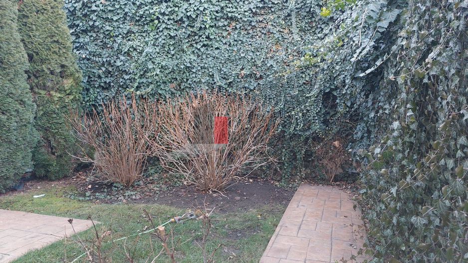 Casa "BEGIRA", Mosilor-Foisorul de Foc, curte individuala, birou/comercial - Poză 22