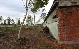 Vanzare hale Mosnita Noua-fosta Ferma 7 - Poză 37