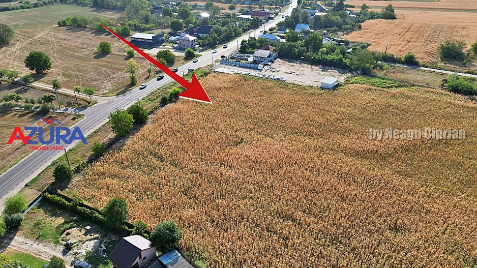 AZURA Imobiliare - Teren la DN7 langa Gaesti, Crangurile - Badulesti - Poză 12