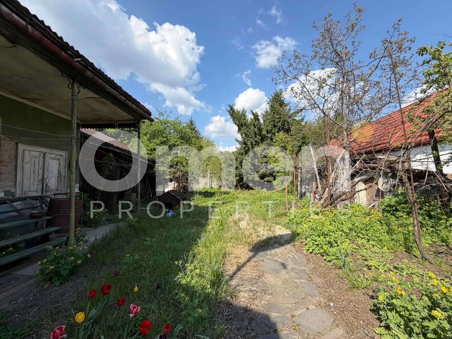 Casa renovata cu curte pentru inchiriere, zona Centrul Vechi - Poză 15