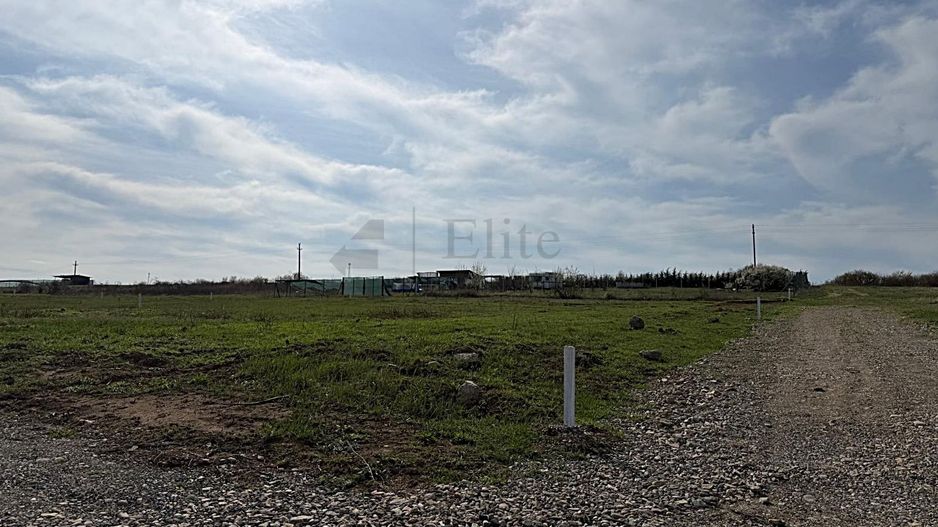 Teren intravilan 700 mp de vanzare in Paleu - Poză 3