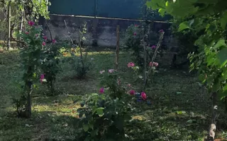Casă cu teren generos | 18 km de Sibiu | 2400 mp teren | Anexe& Construcție noua - Poză 19