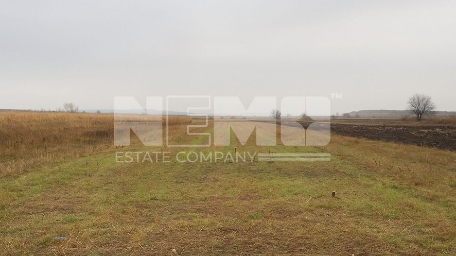 Teren agricol | de vânzare | 5000 mp² | comuna Satu Mare - Poză 9