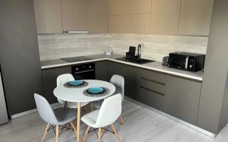 3 Camere de Lux, Hasdeu, SemiCentral, UMF, Gradina Bota, Parcare - Poză 1