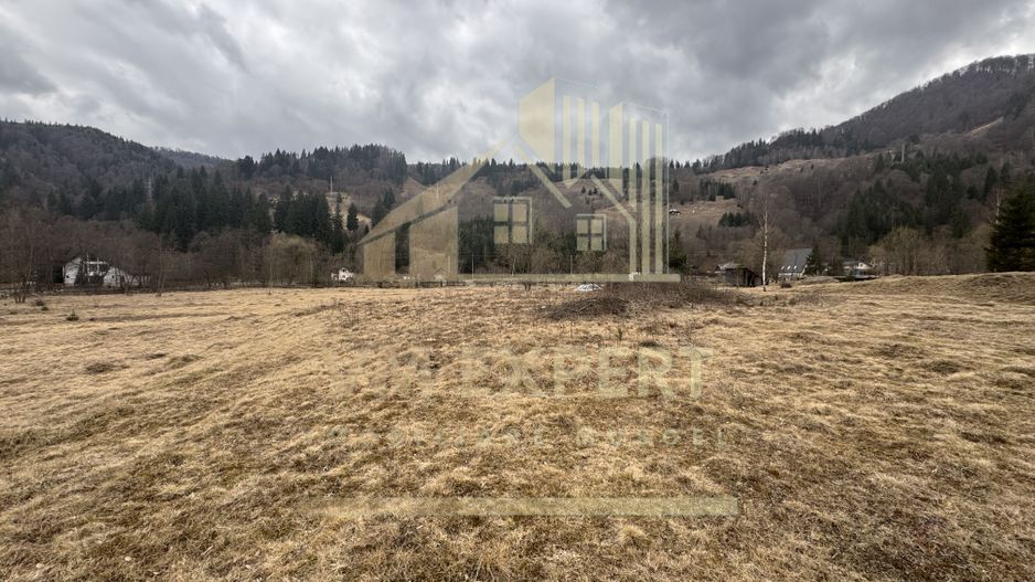 TEREN INTRAVILAN 500 MP SĂTIC- RUCĂR - Poză 14