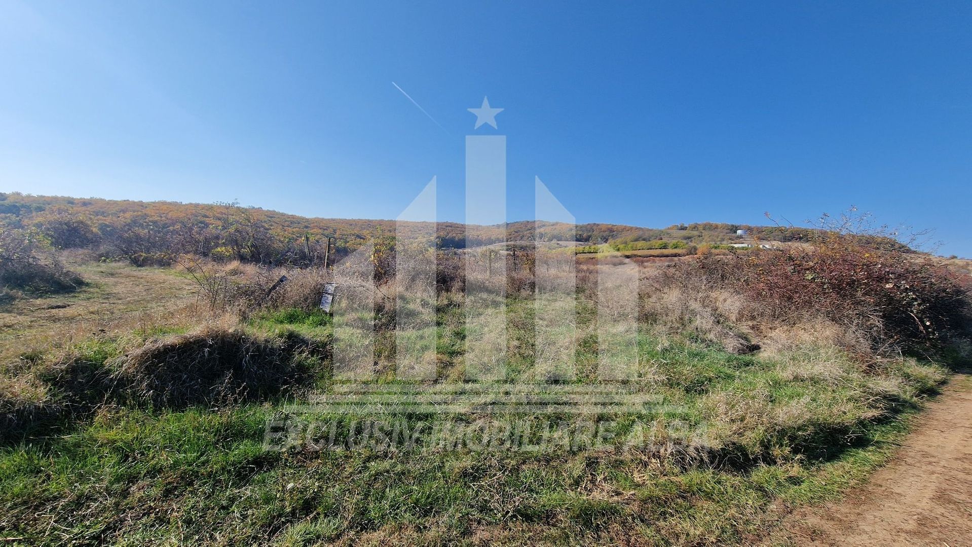 Teren intravilan de vanzare, Cetate - Poză 2