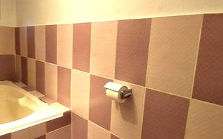 Casa de vanzare curte individuala, centrala, Lacul Tei! - Poză 8