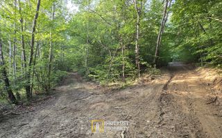 De vânzare teren extravilan  8,2037 ha pădure și pășune Borod, Bihor - Poză 5