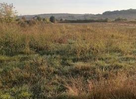 Teren intravilan 5000 m² de vânzare în Lunca Cetățuii, Ciurea - Poză 1
