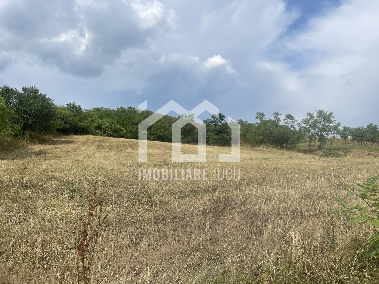 Teren Intravilan Constructrii 2258mp - Gadalin - Poză 4