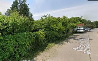 Izvorani | Deschidere la Lacul Snagov | Aparare de mal - Poză 5