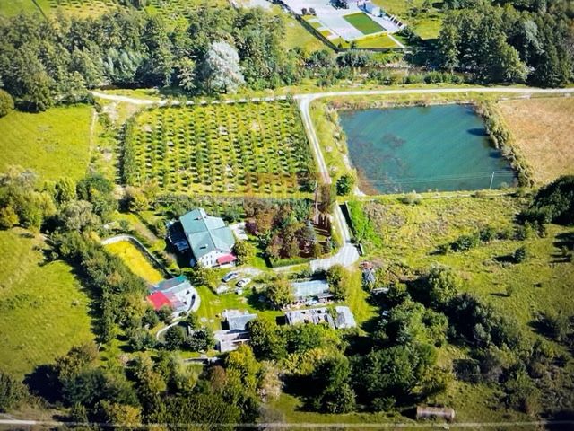 O proprietate de exceptie la Corbi, 18 ha, izvor, lac, pastravarie - Poză 2