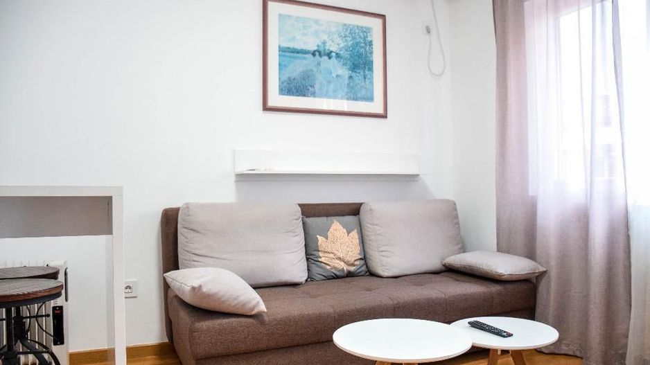 Apartament Ultracentral - Poză 2