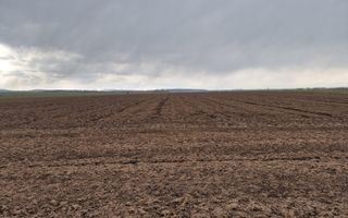 Teren 10,000mp Bacau / Strada Alexandru Safran - Poză 5