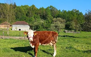 Descoperă căsuța ta de vis la poalele Munților Apuseni - Poză 1