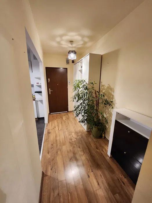 | Apartament cu 2 camere | Decomandat | Cartierul Grigorescu | - Poză 6