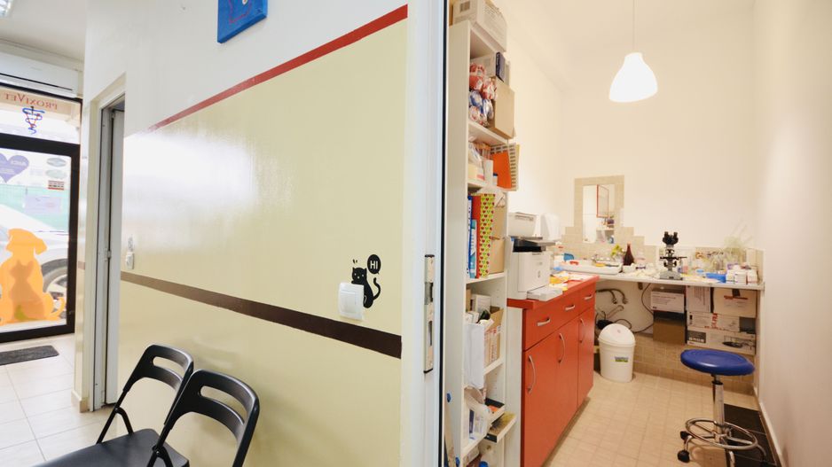 Spatiu Comercial Prelungirea Ghencea | Vizavi Dimri Residence - Poză 8